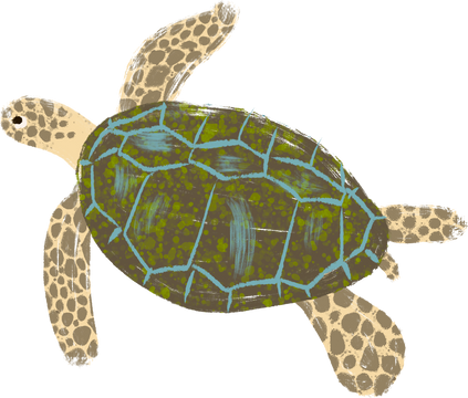 Handdrawn Gouache Green Turtle